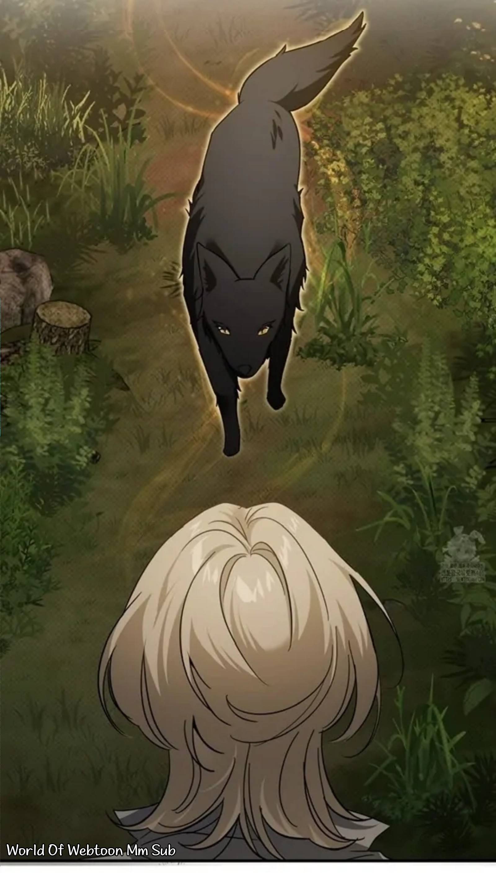 Content Image