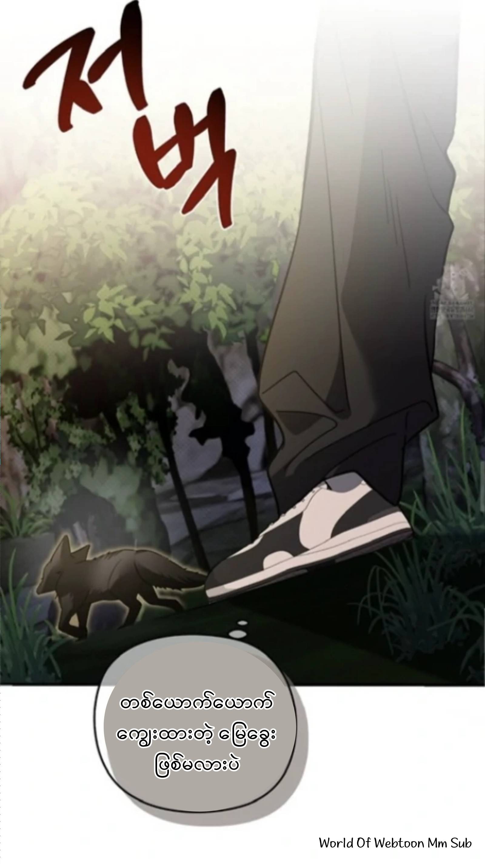 Content Image