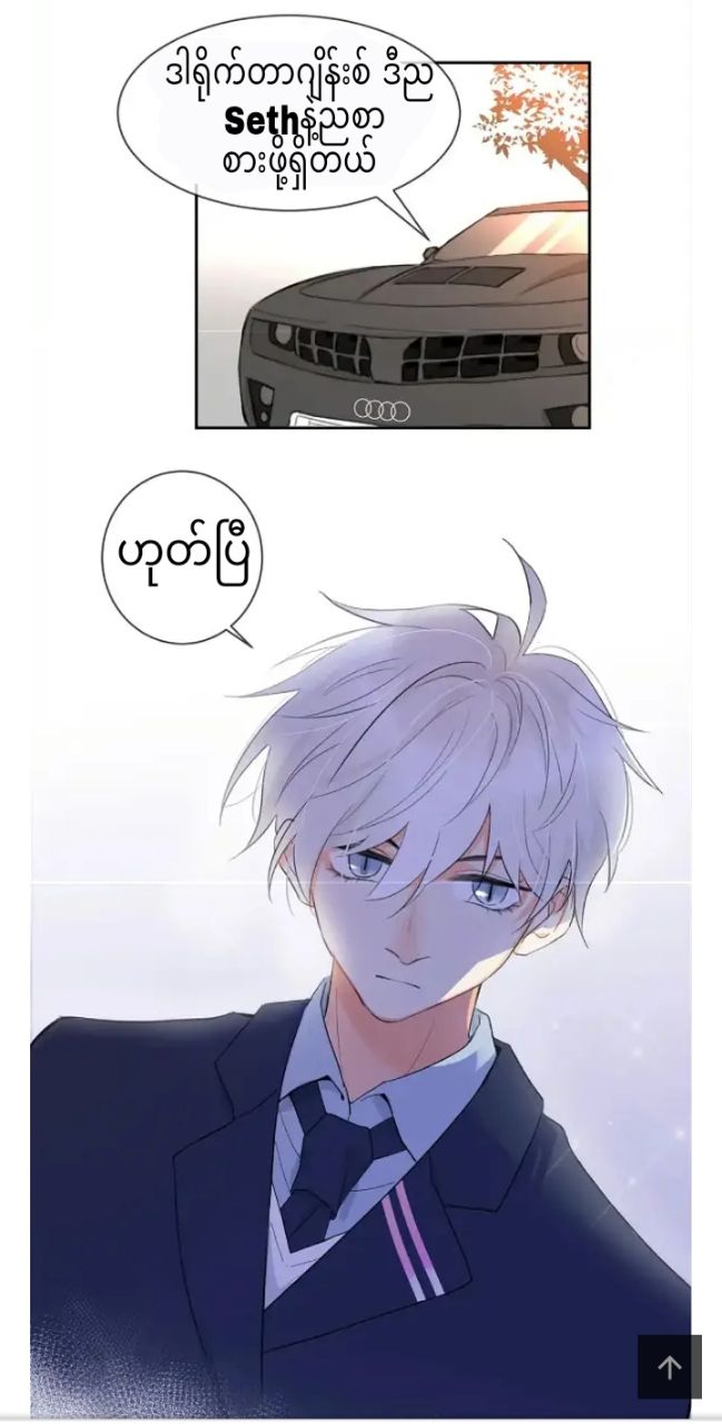 Content Image