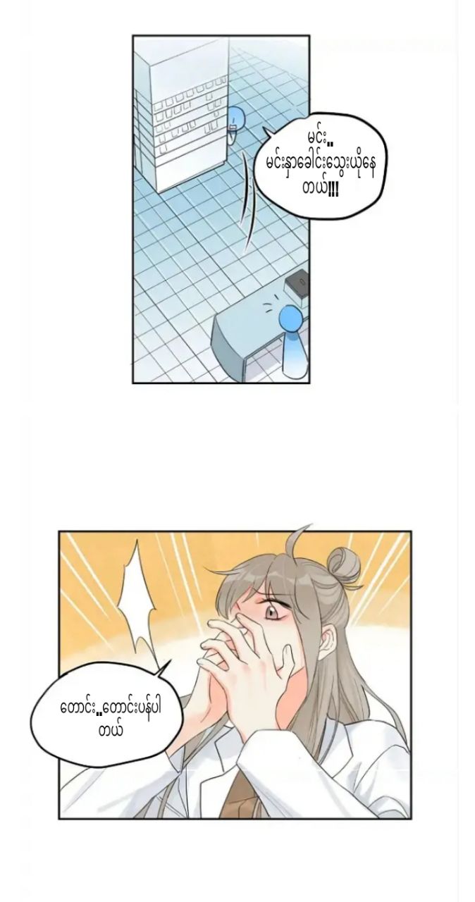 Content Image