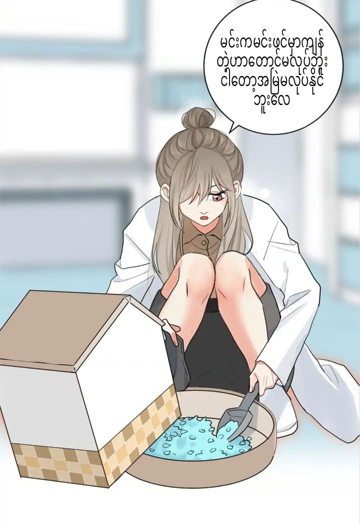 Content Image