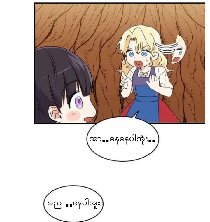 Content Image