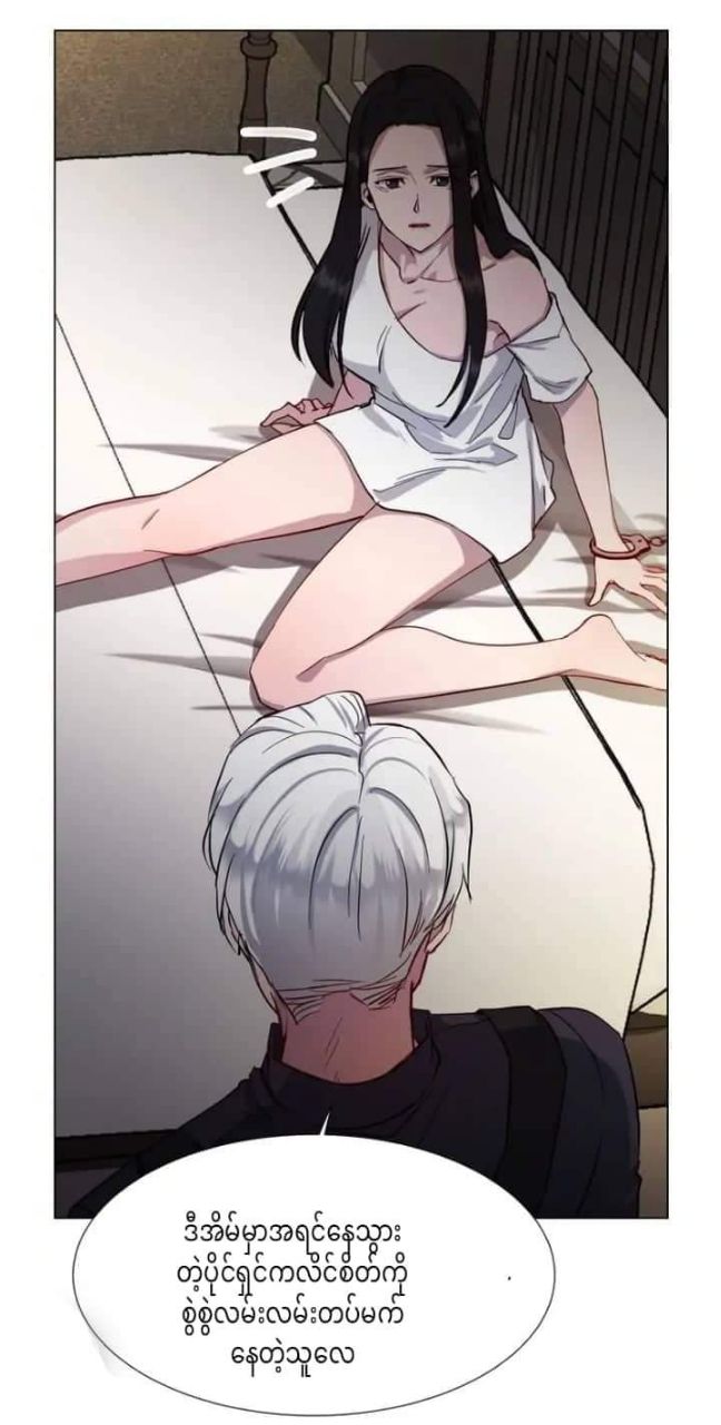 Content Image
