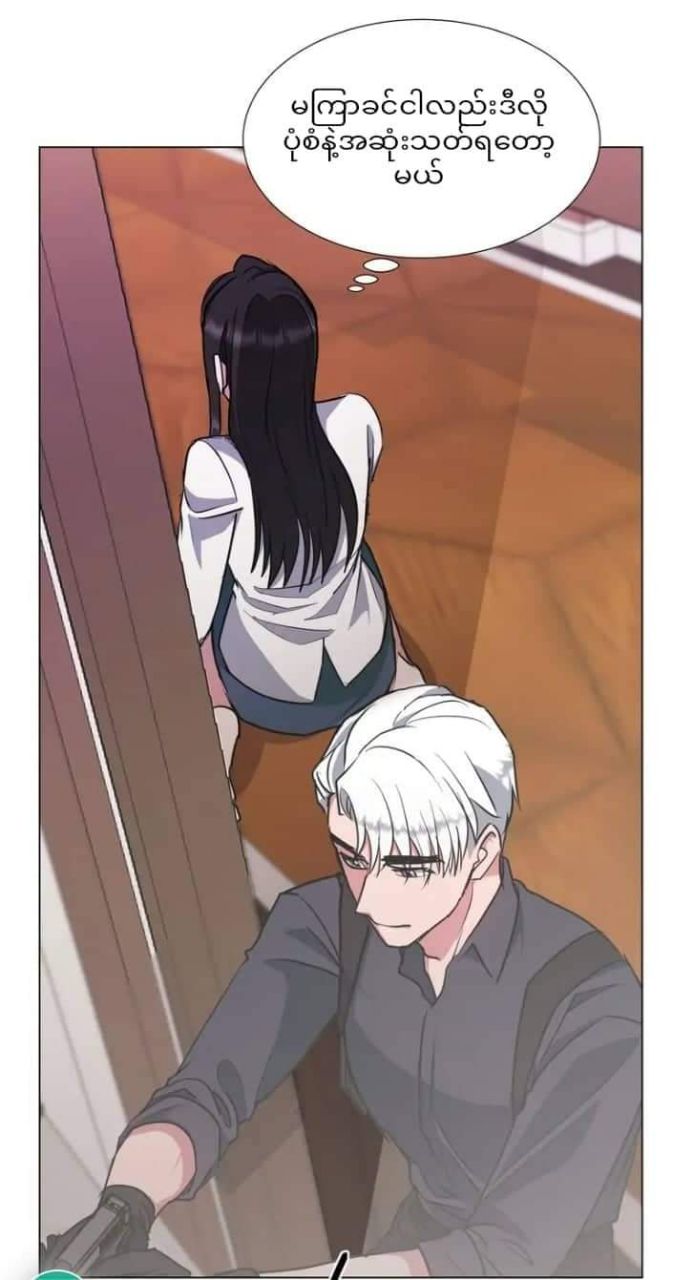 Content Image