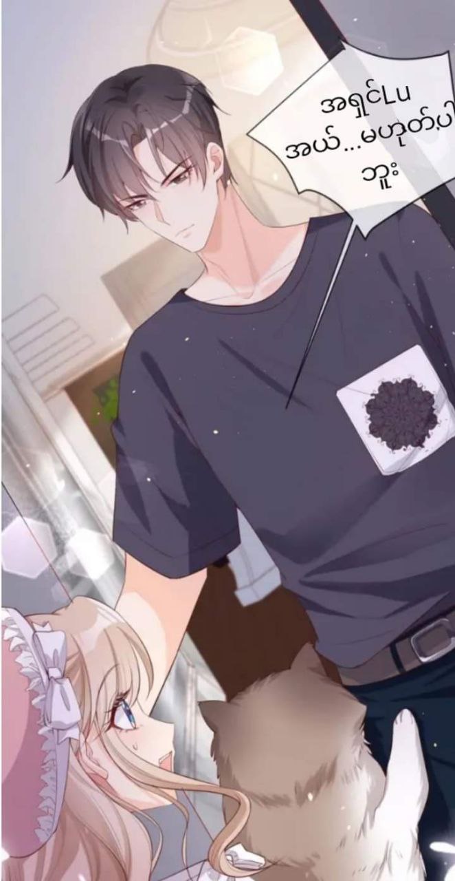 Content Image