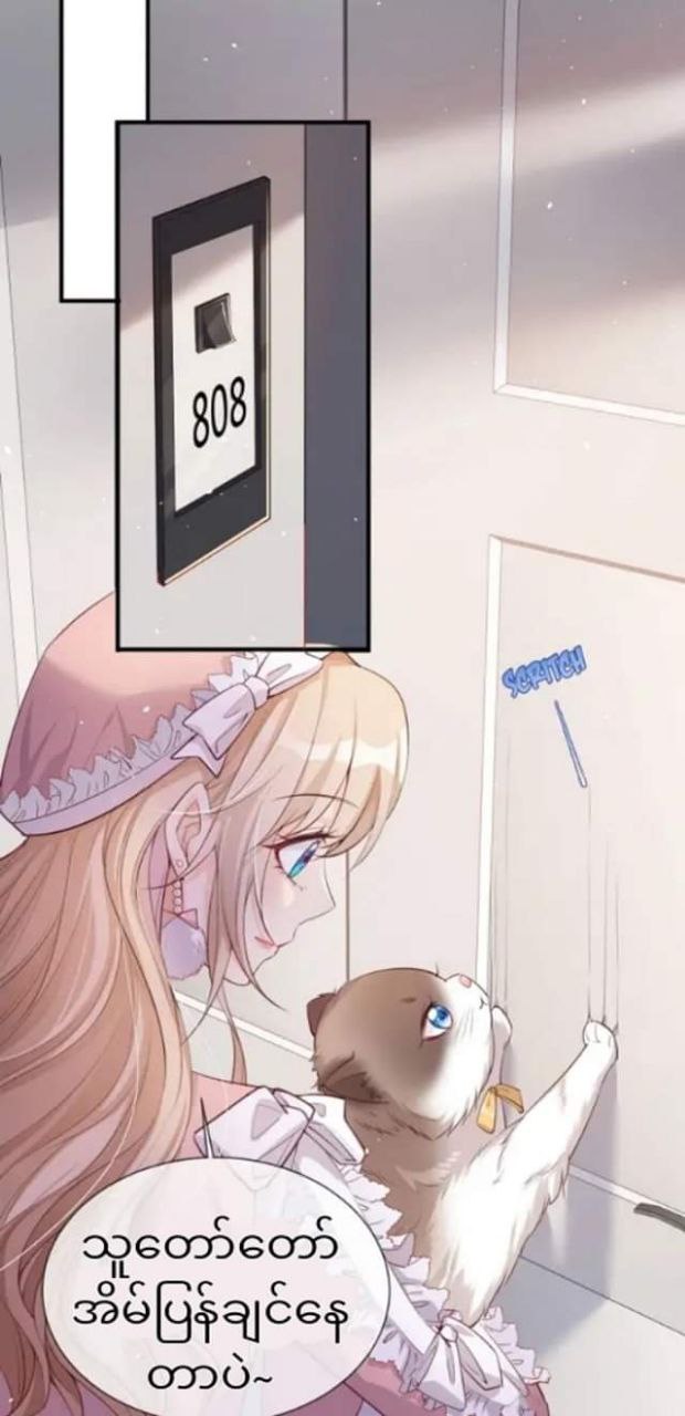 Content Image