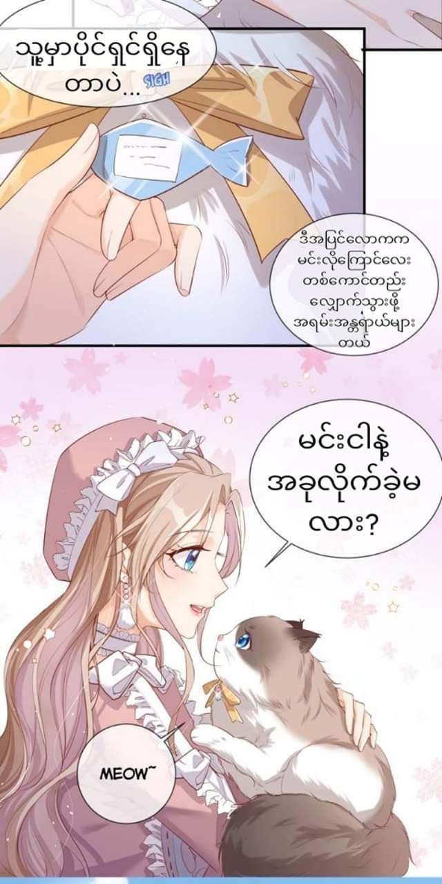 Content Image
