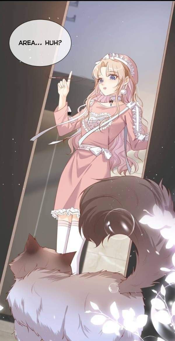 Content Image