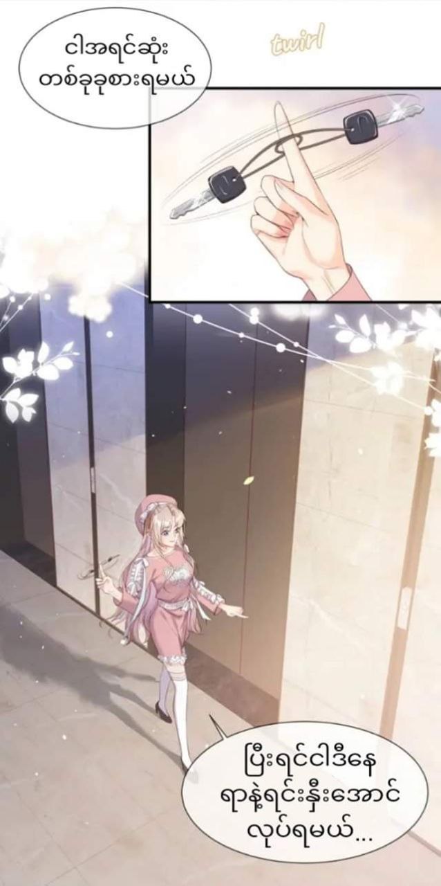 Content Image