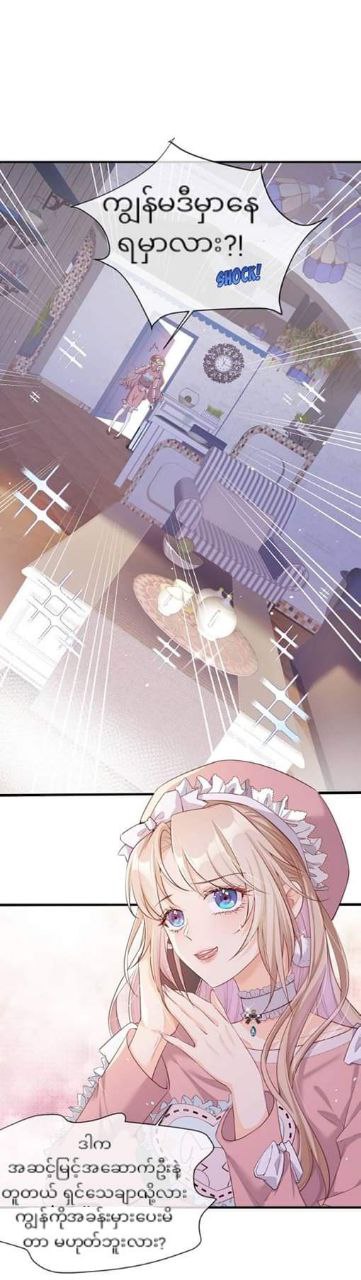 Content Image