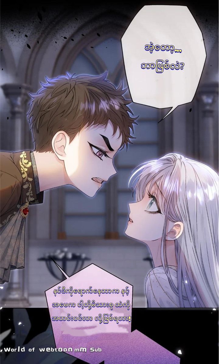 Content Image