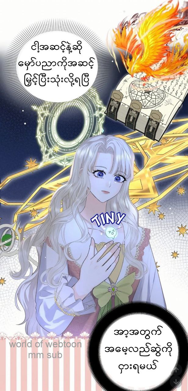 Content Image
