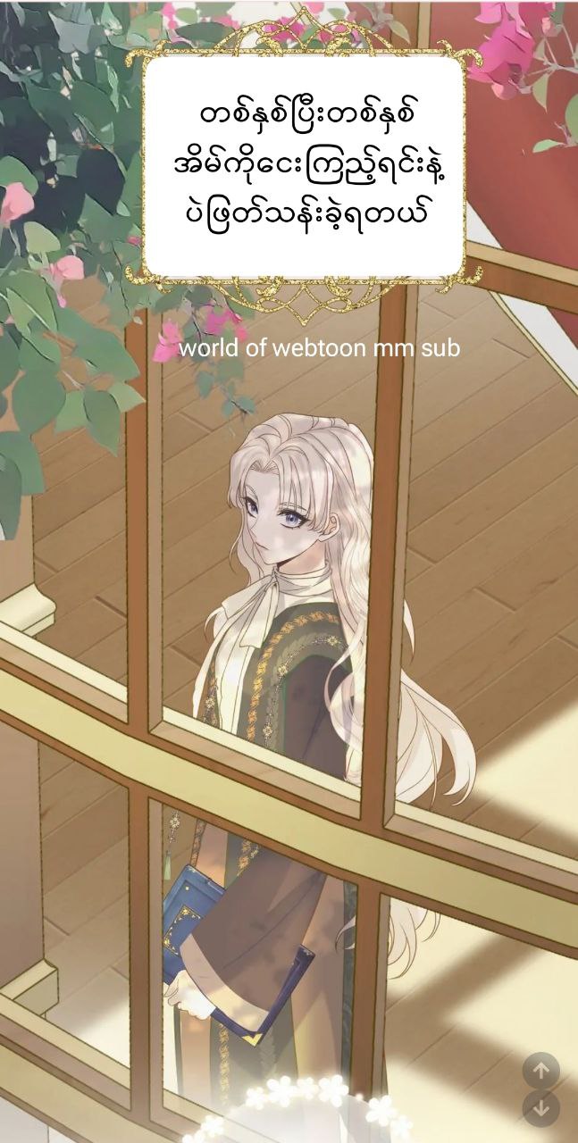 Content Image