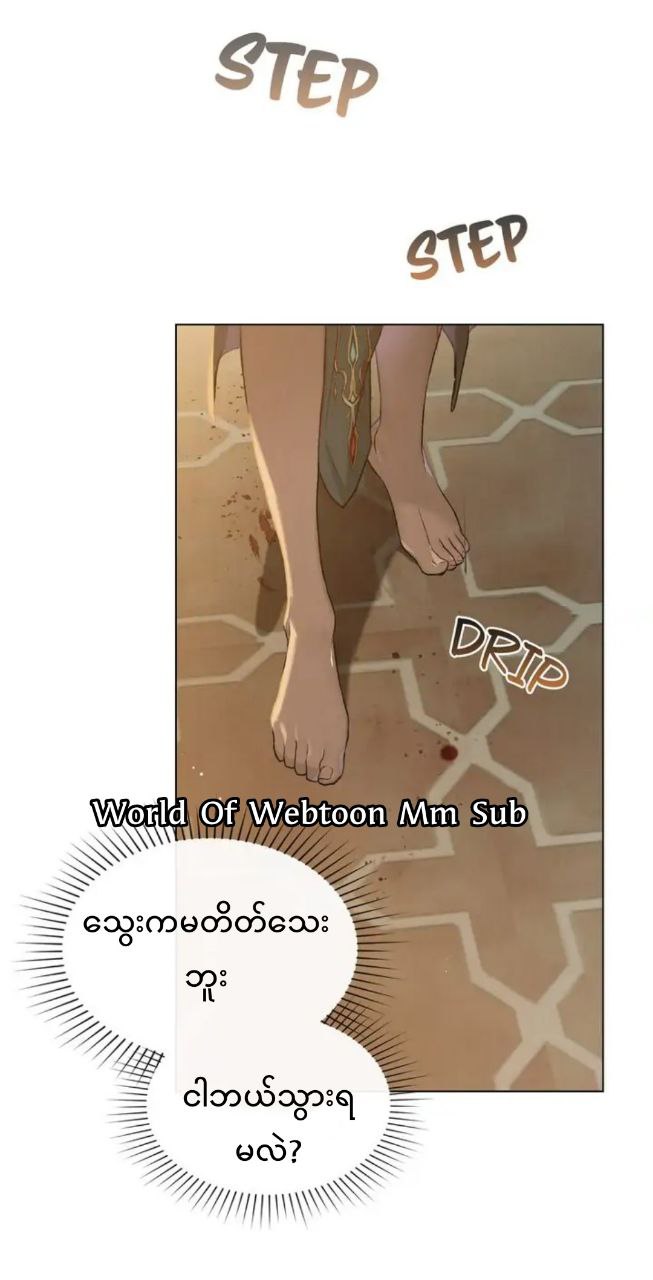 Content Image