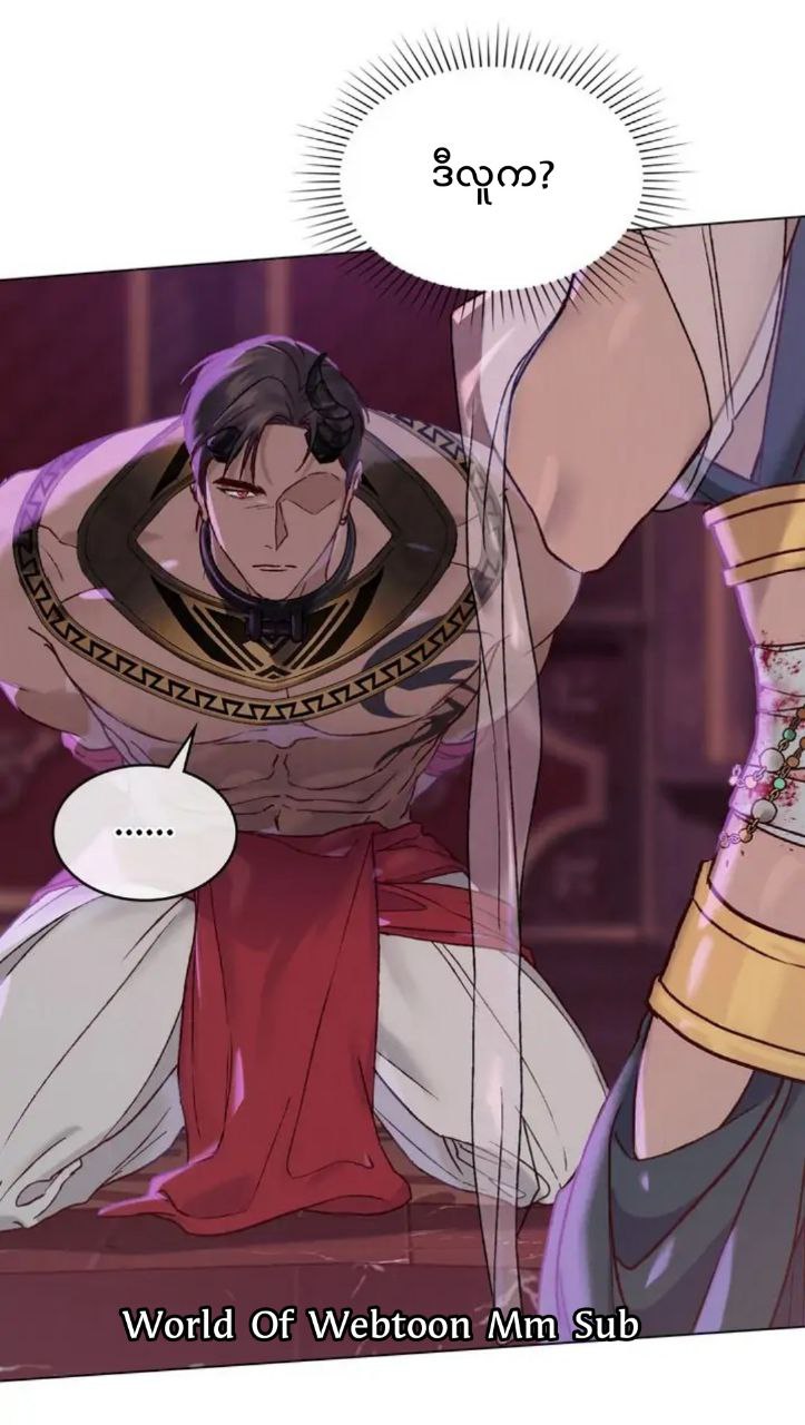 Content Image