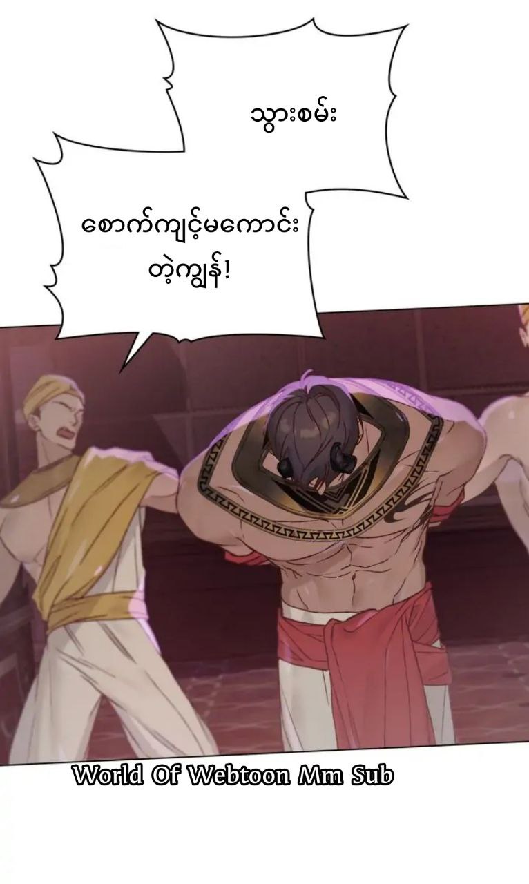 Content Image