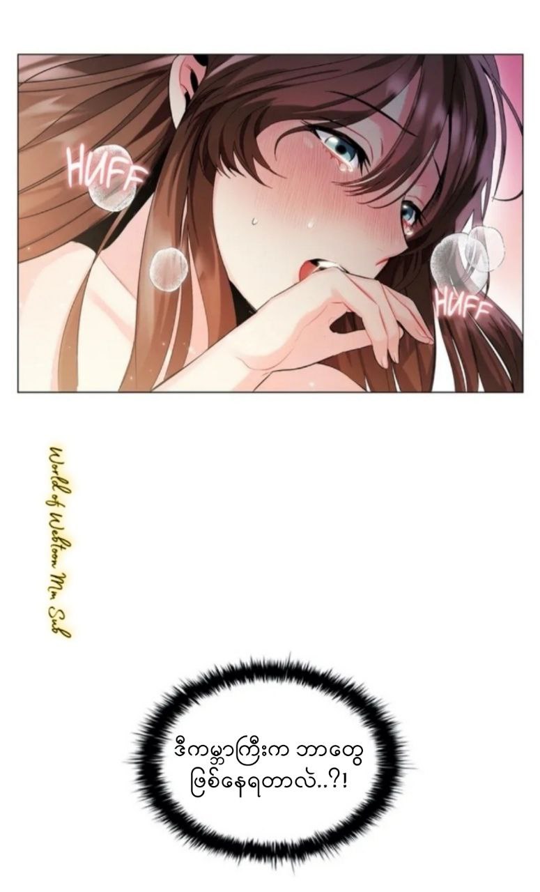 Content Image