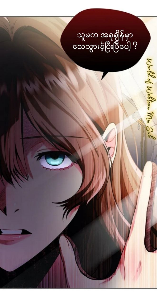 Content Image