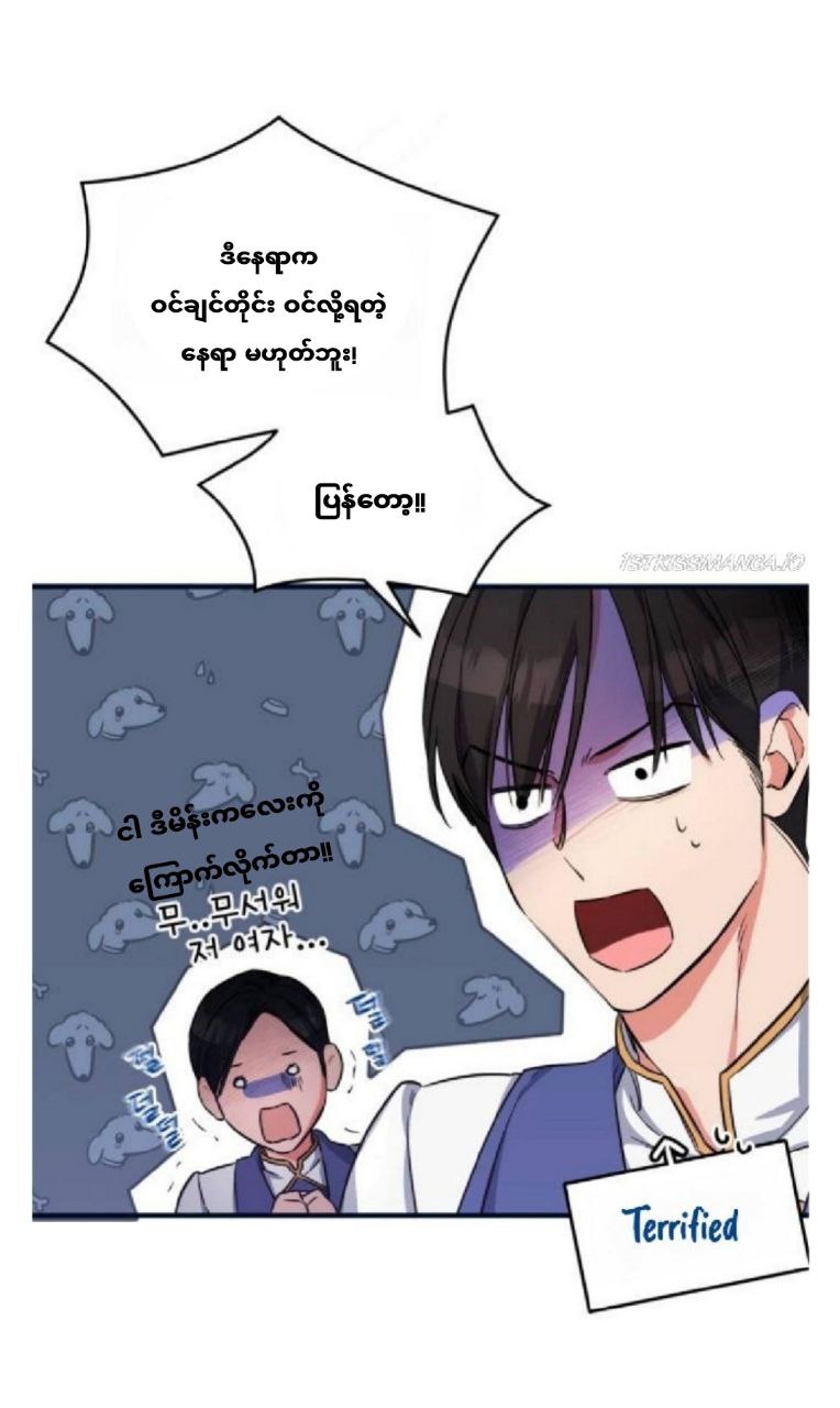 Content Image