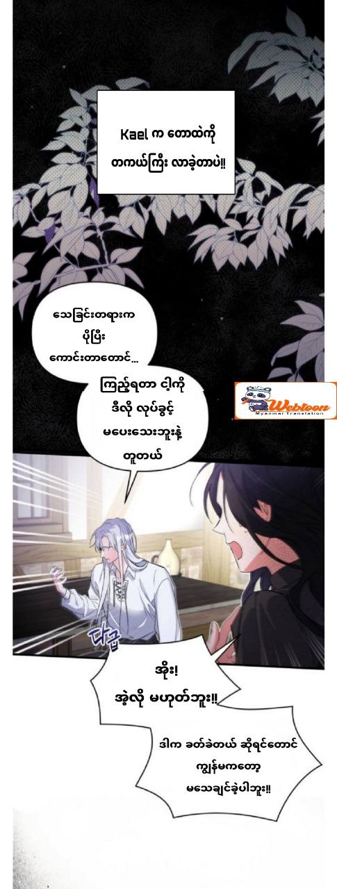 Content Image