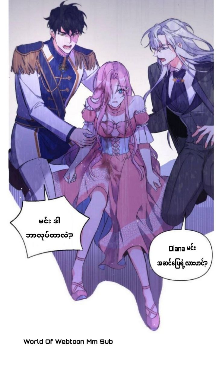 Content Image