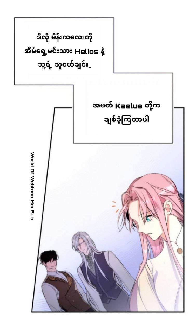 Content Image