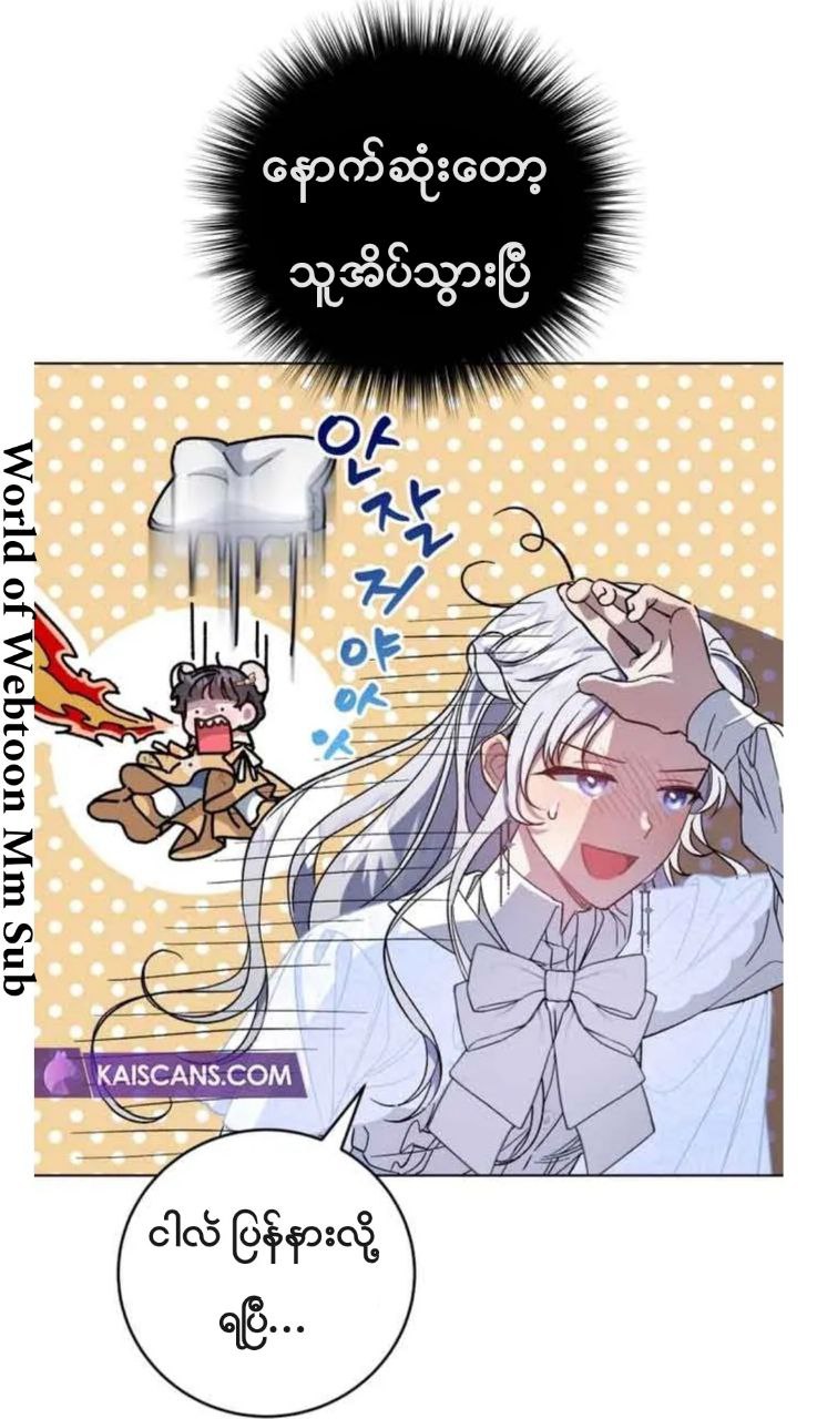 Content Image