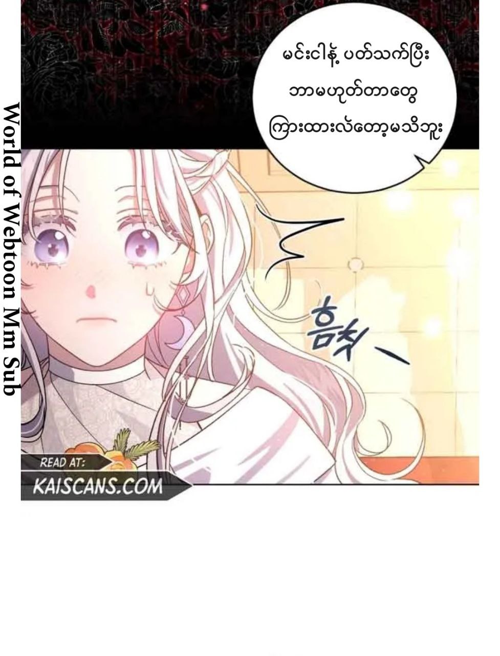 Content Image