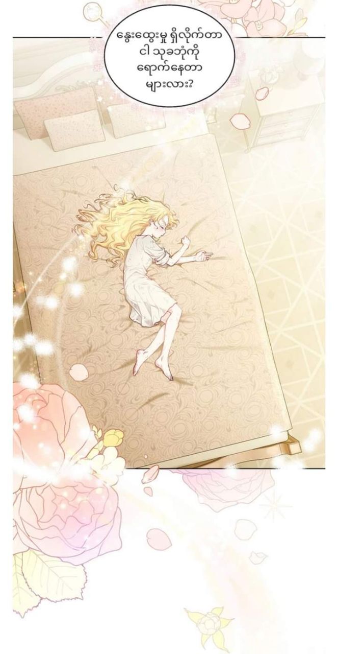 Content Image