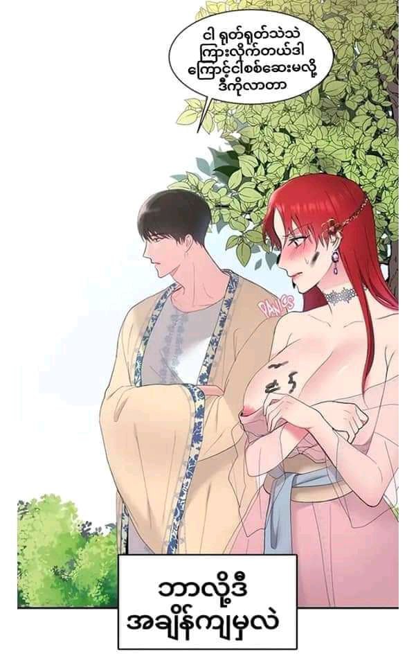 Content Image