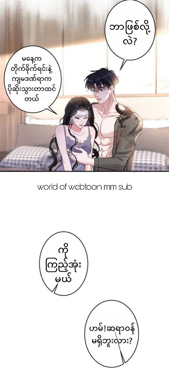 Content Image