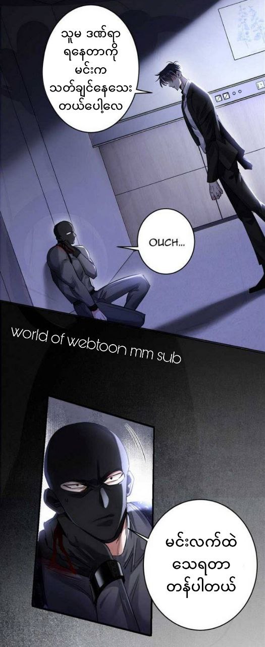 Content Image