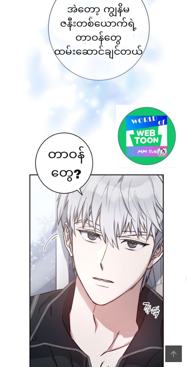 Content Image