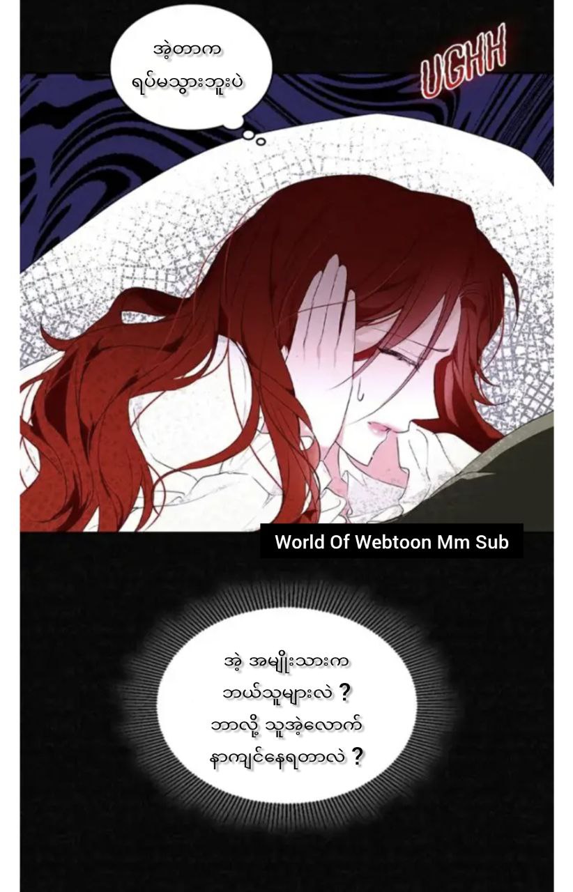 Content Image