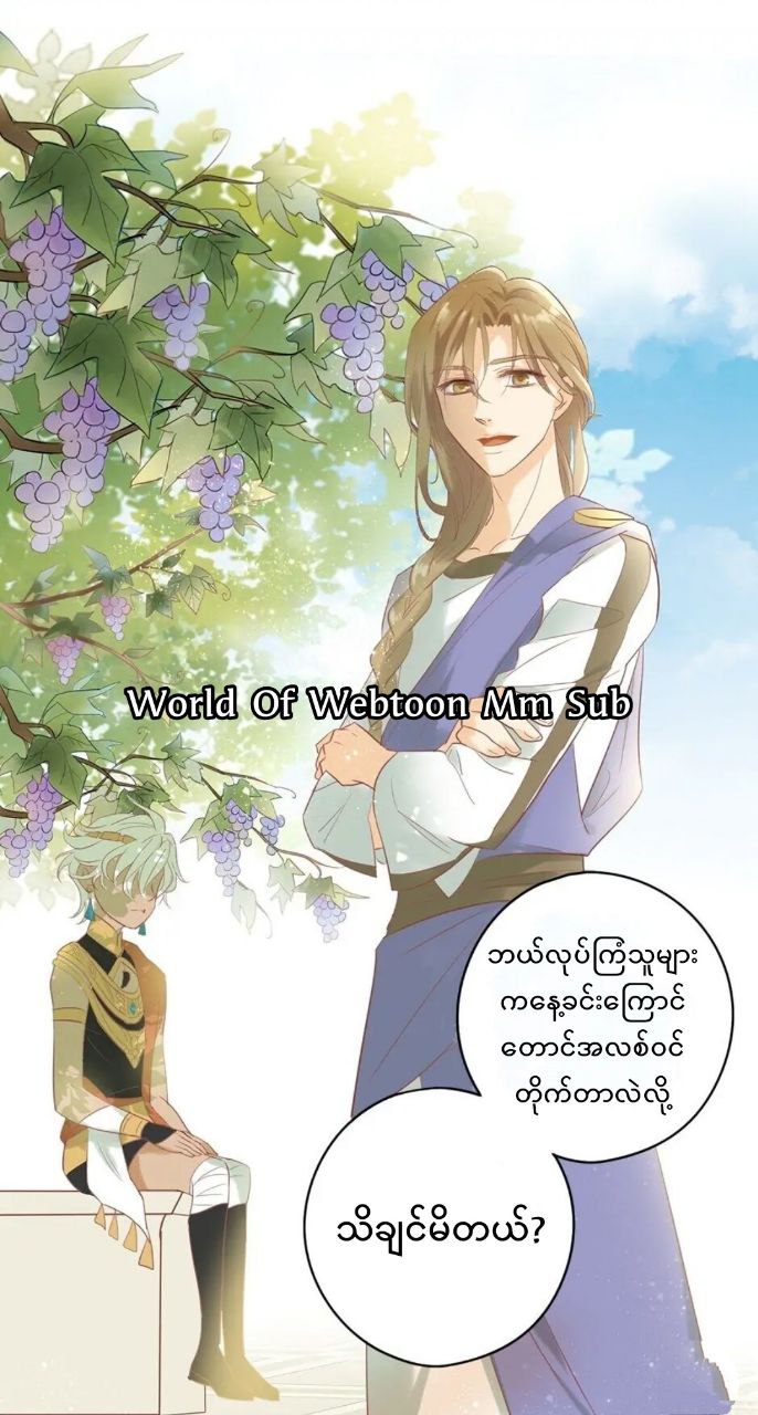 Content Image