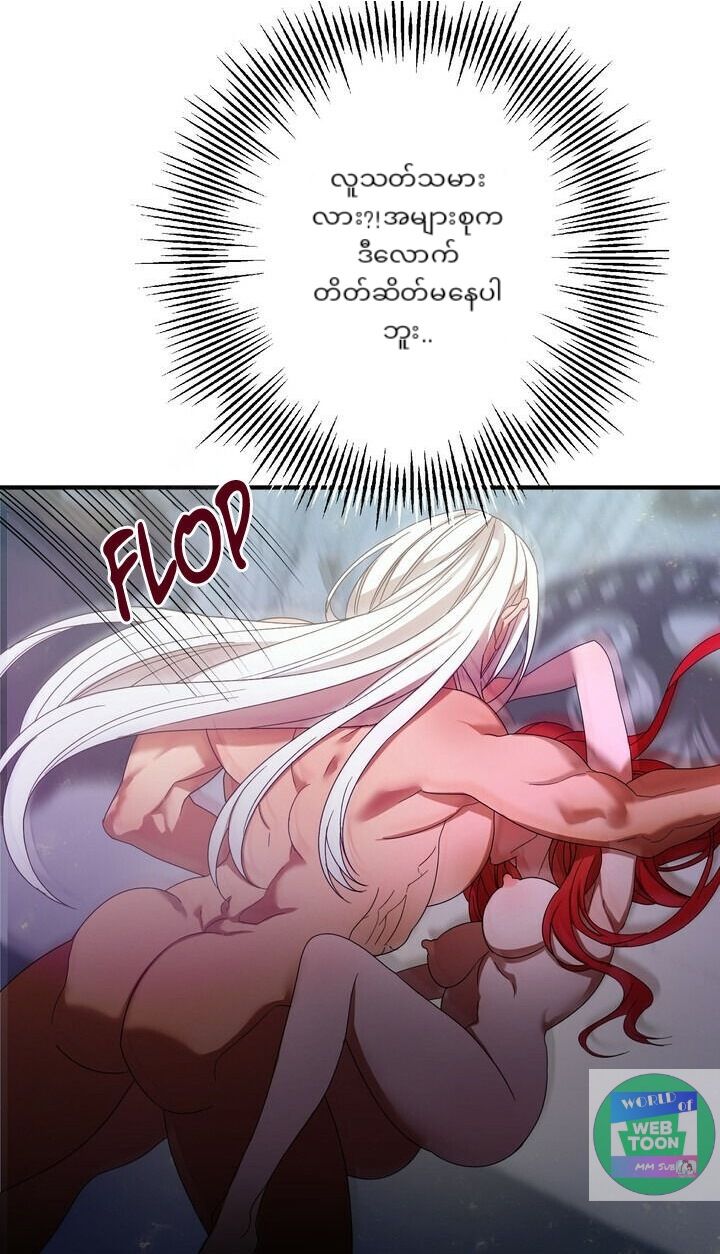 Content Image