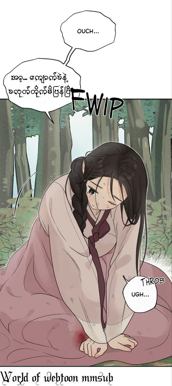 Content Image
