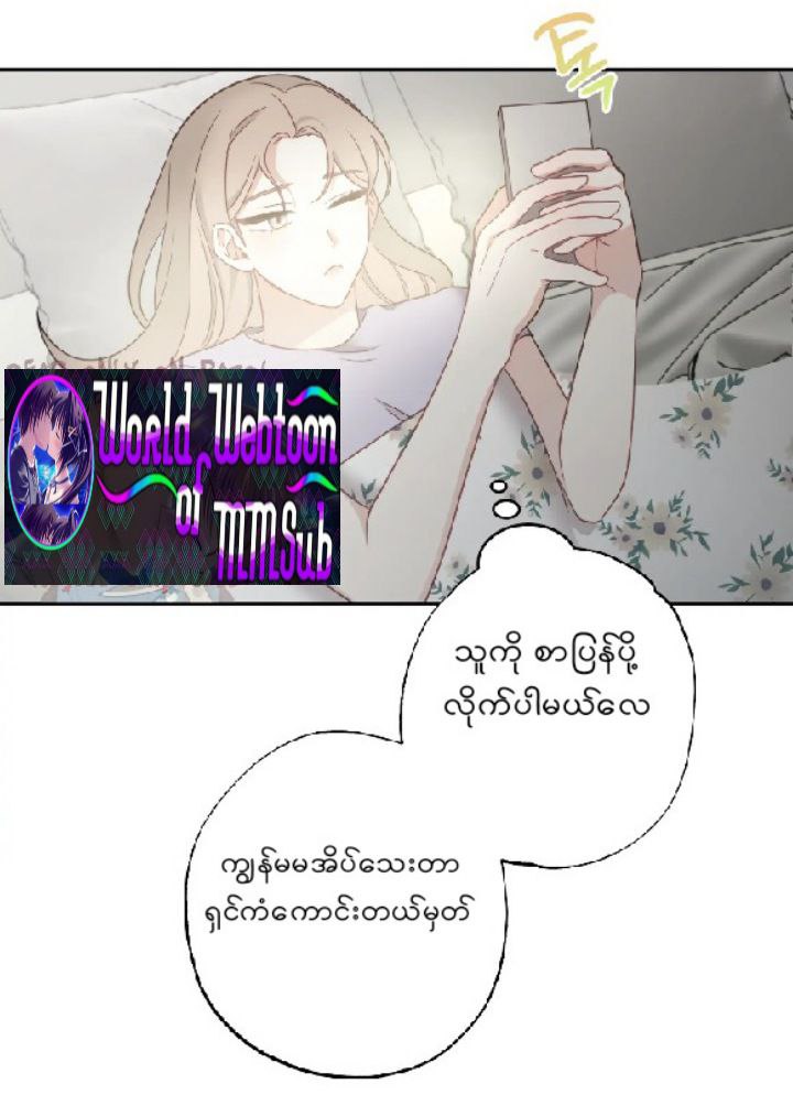 Content Image