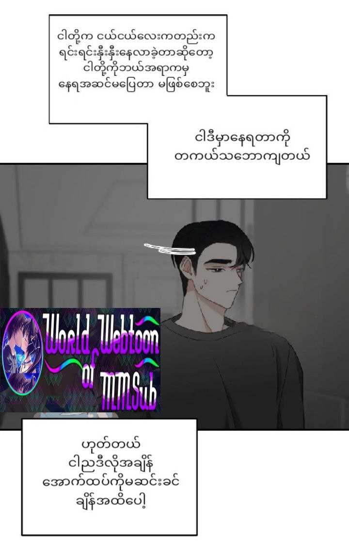 Content Image