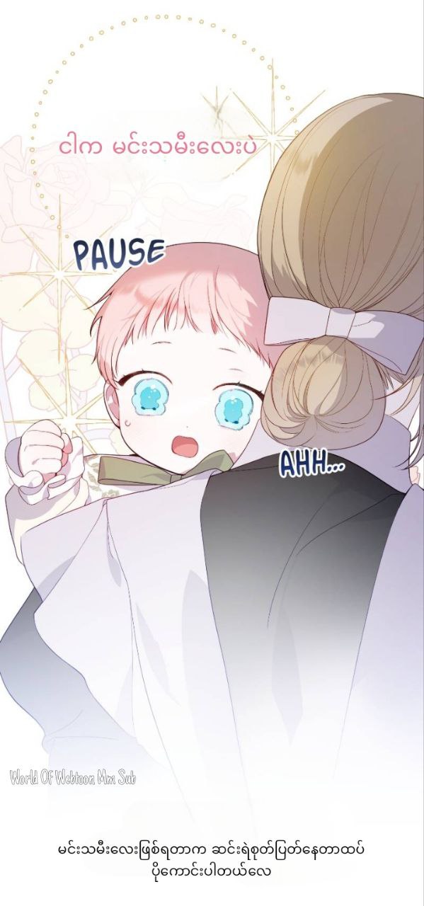 Content Image