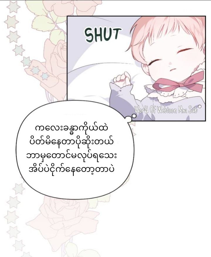 Content Image