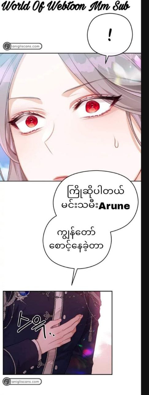 Content Image