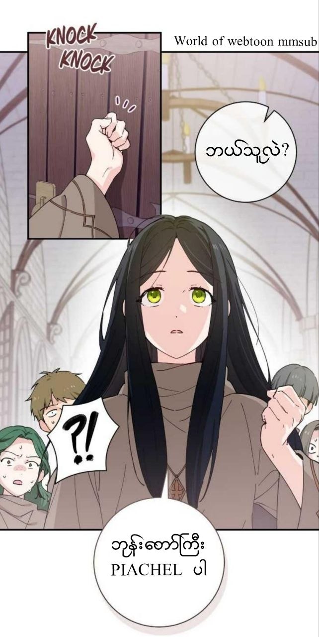 Content Image