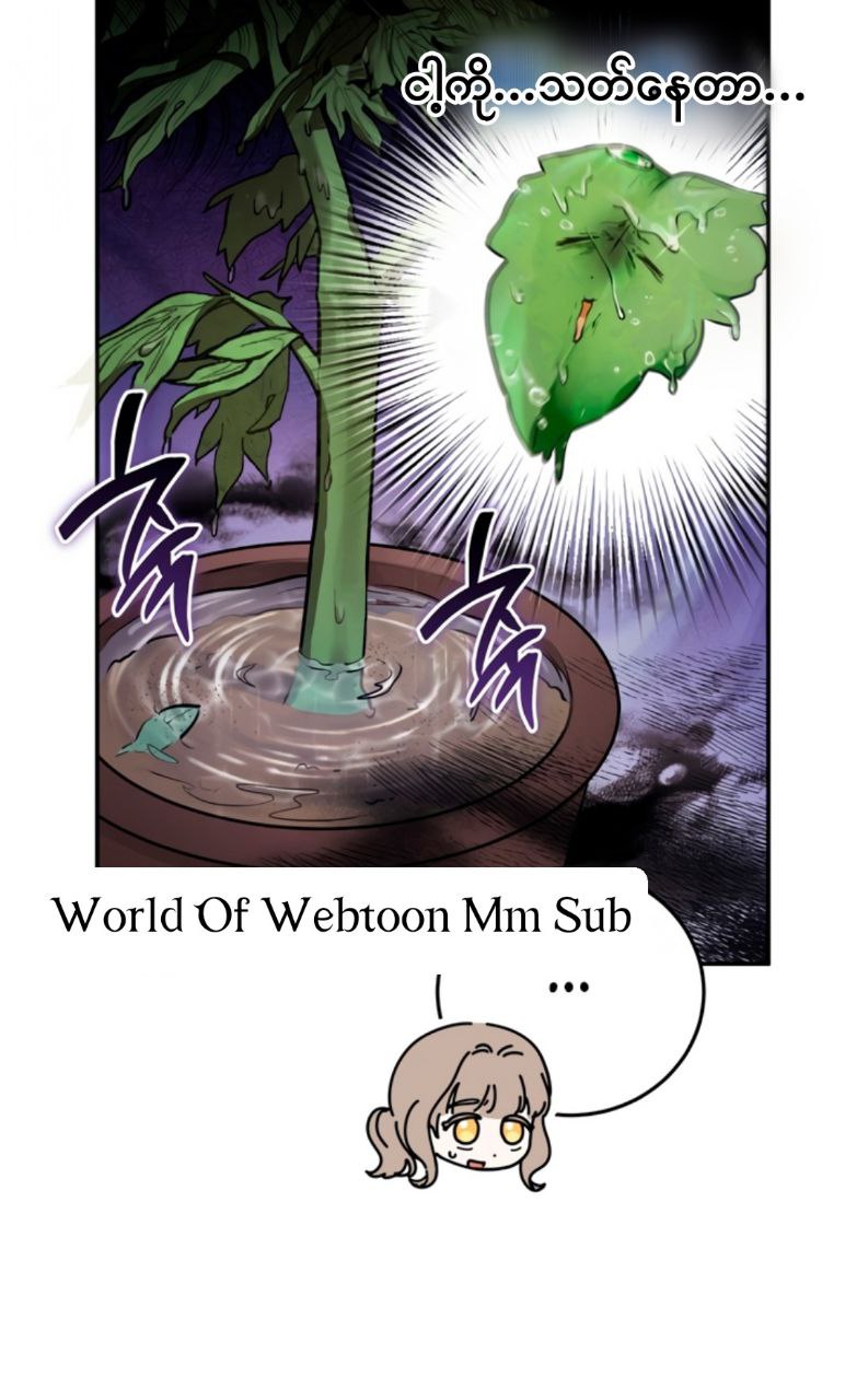 Content Image