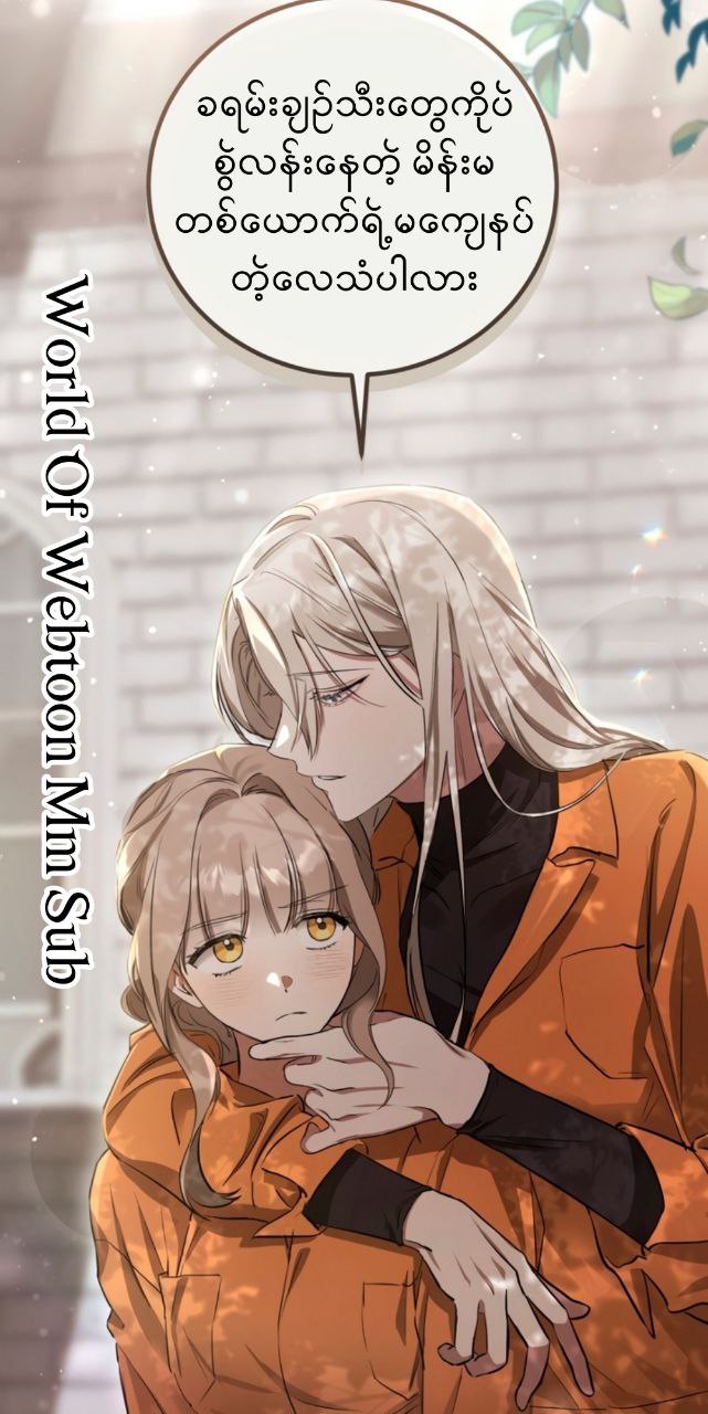 Content Image