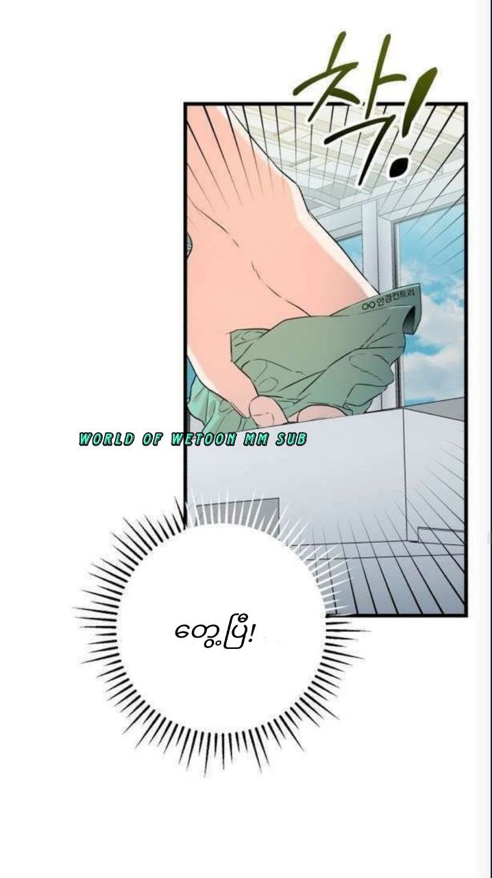 Content Image