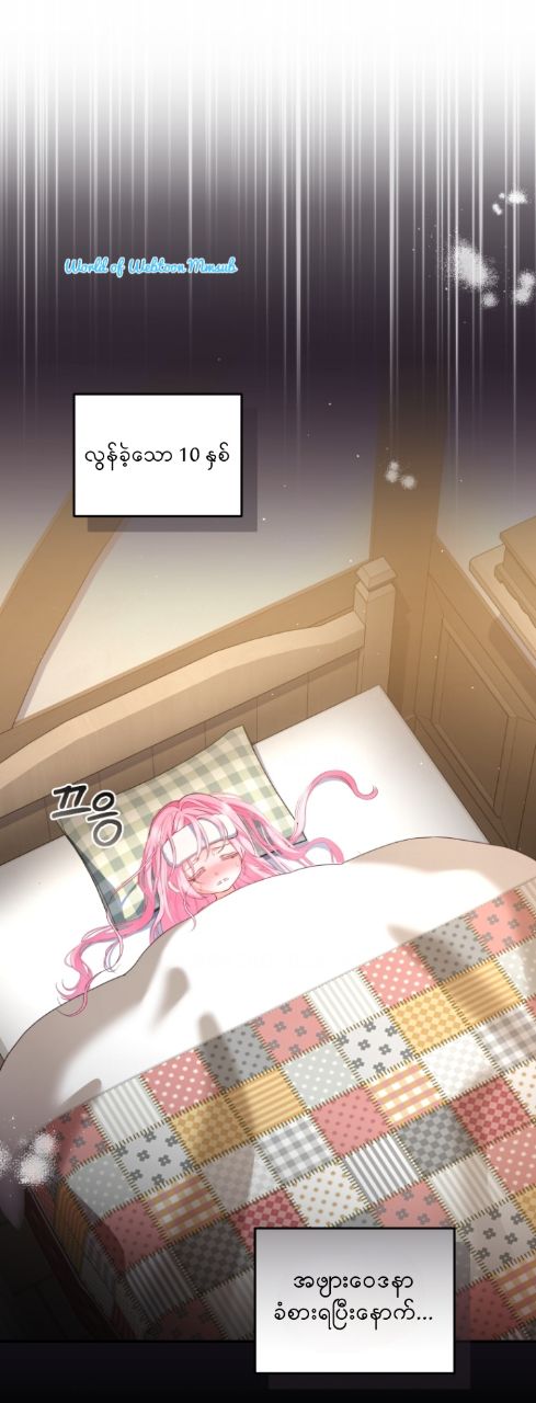 Content Image