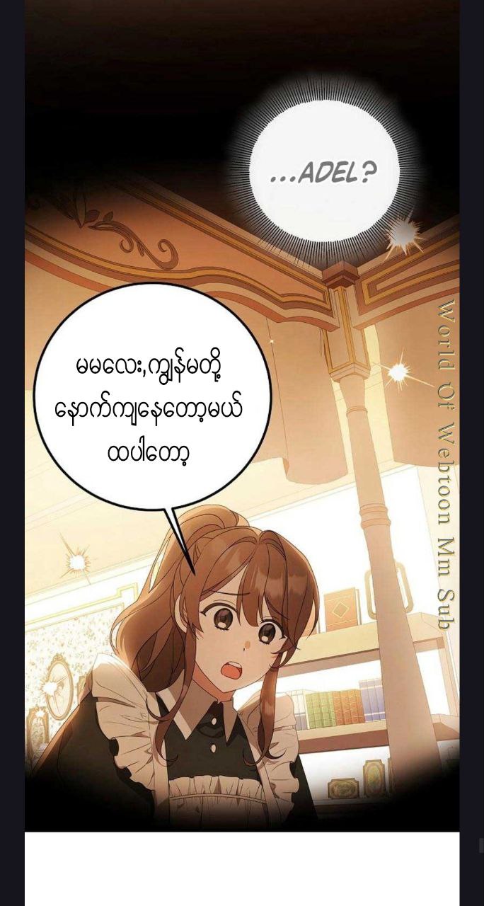 Content Image