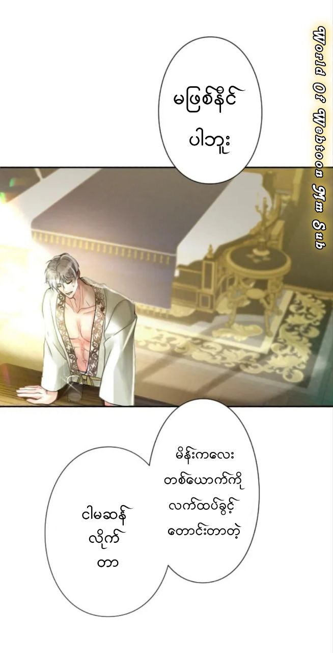 Content Image