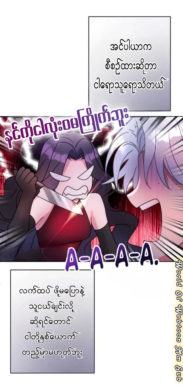 Content Image
